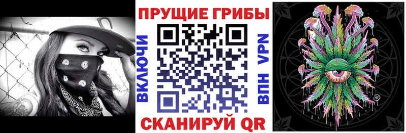 Галлюциногенные грибы прущие грибы  blacksprut tor  Махачкала 